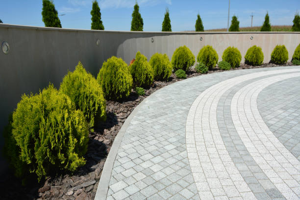 Best Professional Driveway Pavers  in Dover, NH